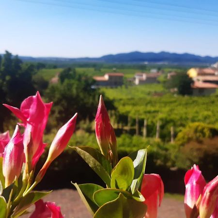 Ca Dei Giari Apartment Valdobbiadene Luaran gambar