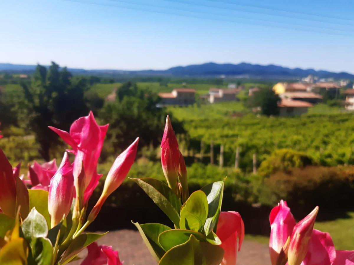 Ca Dei Giari Apartment Valdobbiadene Luaran gambar
